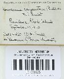 Image Associated With the Occurrence