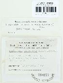 Thumbnail image of current specimen