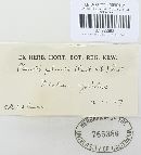 Image Associated With the Occurrence