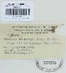 Image Associated With the Occurrence