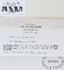 Thumbnail image of current specimen