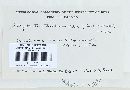 Thumbnail image of current specimen