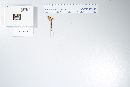 Marasmius siccus image