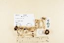 Media resource of Agaricus brunnescens