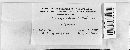 Diatrype stigma image