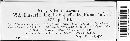 Clavariadelphus ligula image