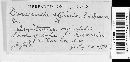 Image Associated With the Occurrence