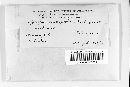 Media resource of Hypoxylon crocopeplum