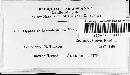 Media resource of Hypoxylon haematostroma
