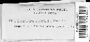 Media resource of Gloeophyllum striatum