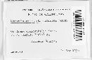 Thumbnail image of current specimen