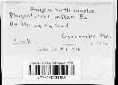 Thumbnail image of current specimen