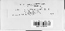 Puccinia atrofusca image