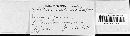 Puccinia liatridis image