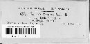 Puccinia menthae image