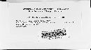 Puccinia recondita image