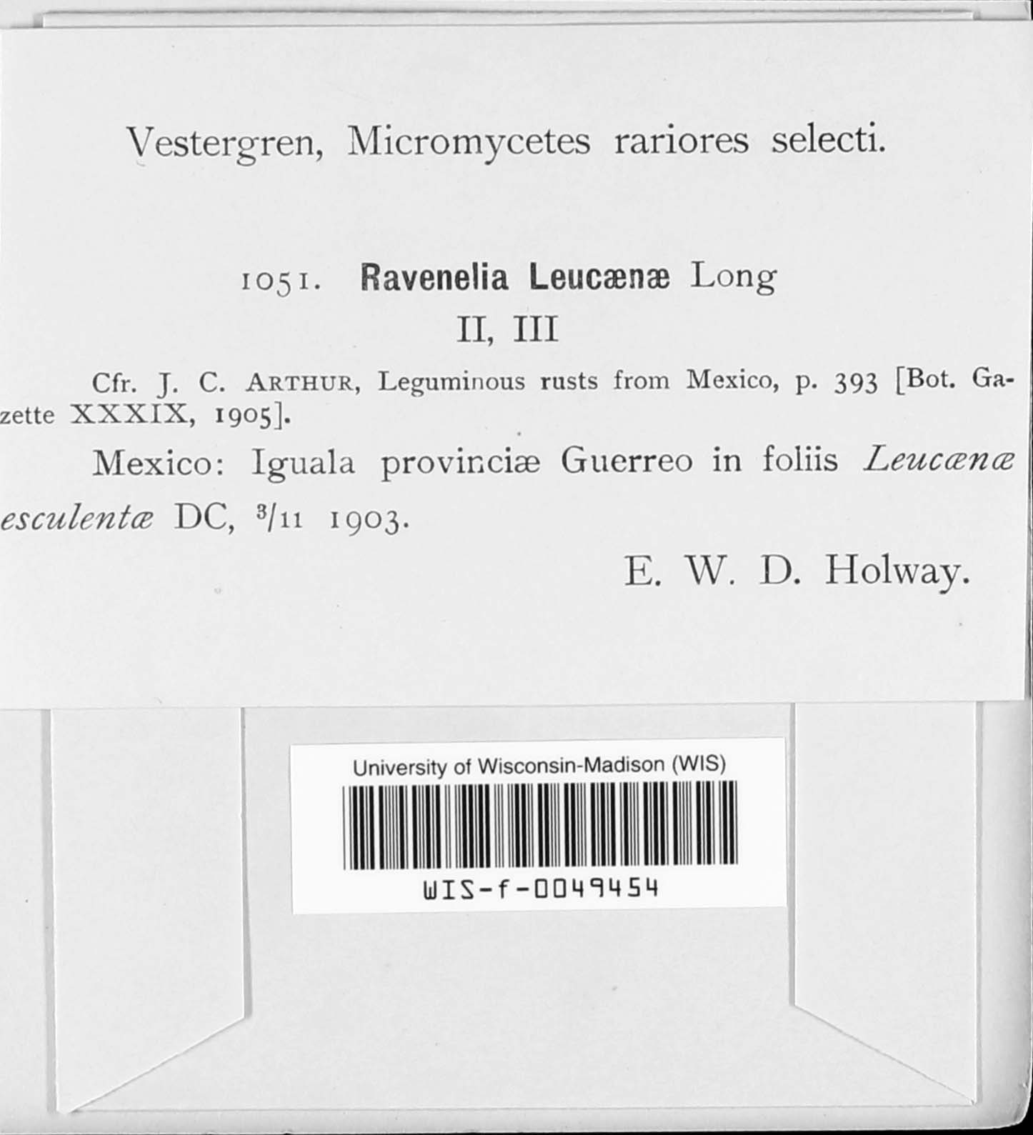 Ravenelia leucaenae image