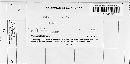 Thumbnail image of current specimen