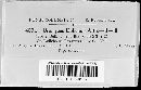Uromyces dolicholi image