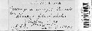 Uromyces lineolatus image