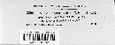 Uromyces sporoboli image