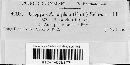 Uropyxis amorphae image