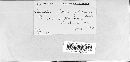 Thumbnail image of current specimen