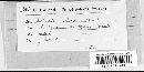 Media resource of Chaetomella ochracea