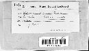 Media resource of Chaetomella viridescens
