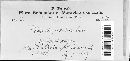 Media resource of Didymella cadubriae