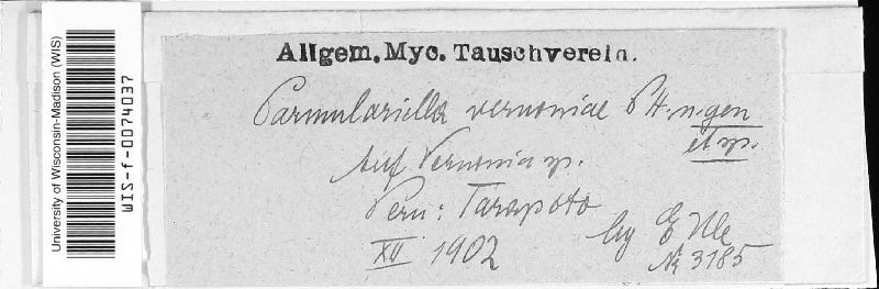 Parmulariella vernoniae image