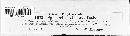 Thumbnail image of current specimen