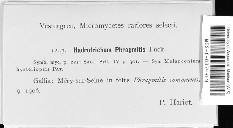 Scirrhia rimosa image