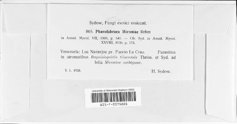 Phaeofabraea miconiae image