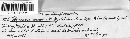Heterobasidion annosum image