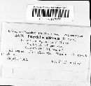 Trichaptum abietinum image