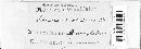 Thumbnail image of current specimen