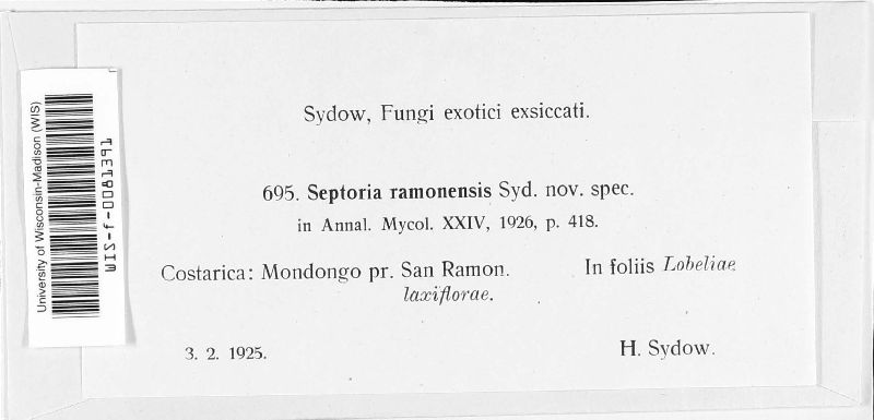 Septoria ramonensis image