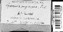 Image Associated With the Occurrence