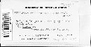 Media resource of Farysia caricis-petitianae