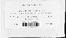 Uredo dioscoreae-alatae image