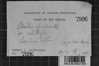 Image Associated With the Occurrence