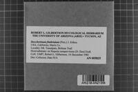 Image Associated With the Occurrence