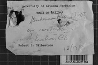 Image Associated With the Occurrence