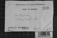 Image Associated With the Occurrence