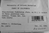 Image Associated With the Occurrence