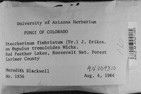 Image Associated With the Occurrence