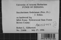 Image Associated With the Occurrence