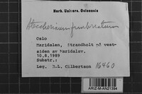 Image Associated With the Occurrence