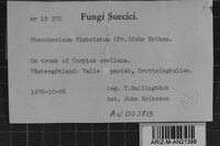 Image Associated With the Occurrence